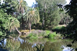 Botanical Gardens.